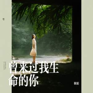 曾来过我生命的你