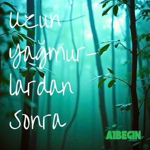 Uzun Yağmurlardan Sonra