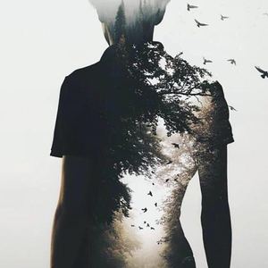 安和桥（翻自 宋冬野）（翻自 孟大宝）