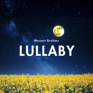 疲れを癒す白い砂浜 (川)