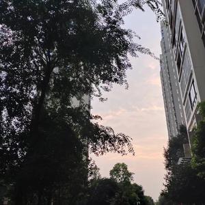 好久（Prod by Lv9）