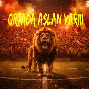 Ortada Aslan Var!!!
