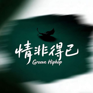 情非得已(Groove Hiphop)