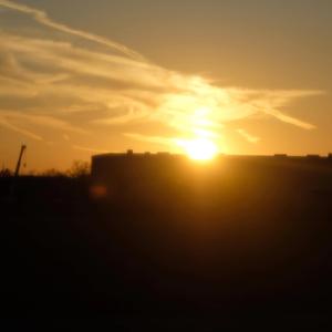 Sunshine