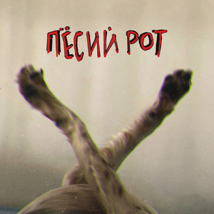 Двигаться быстрей