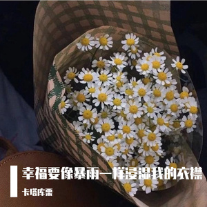 幸福要像暴雨一样浸湿我的衣襟