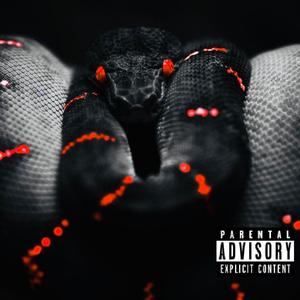 Snakebite
