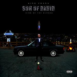 Fak' Imali (Bonus song) (feat. Venacular)