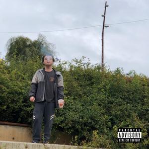 las flores que veíamos crecer ahora están muertas (prod. loony)