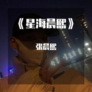 -我为情字立大旗（张晨熙 remix）