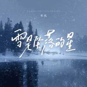 雪是坠落的星