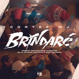 Brindaré