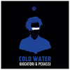 Pegassi - Cold Water (Cover Justin Bieber)