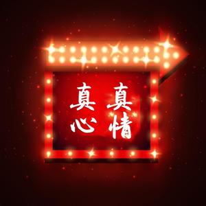 真心真情