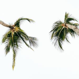 TO：夏（Prod. 房间里的大象）