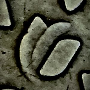 看!猫头鹰|Sat Tee Touy