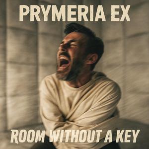 Room Without a Key