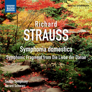 Symphonia domestica, Op. 53, TrV 209:Part I: Massig langsam (Wiegenlied) -