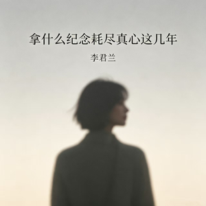 拿什么纪念耗尽真心这几年