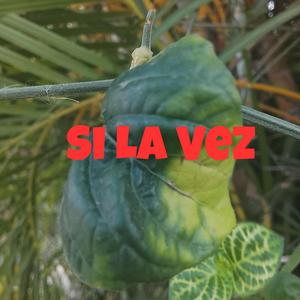 Si la vez