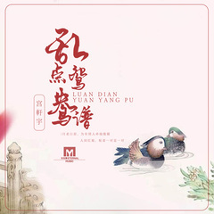 乱点鸳鸯谱 (DJ版)