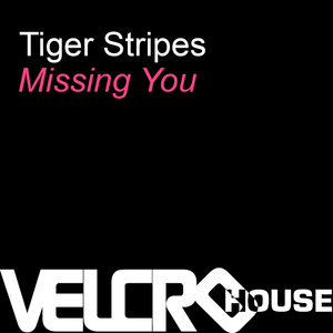 Missing You (Playmaker's Supreme Club Mix)