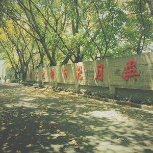 沙南街一号