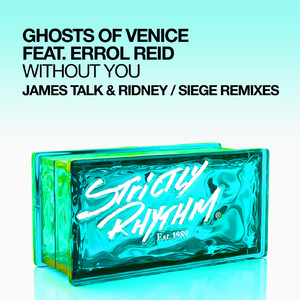 Without You (feat. Errol Reid) (Siege Dub)