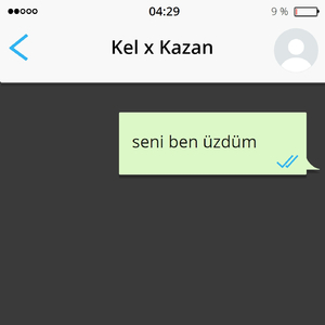 Seni Ben Üzdüm
