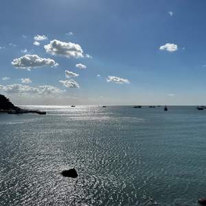 阅尽千帆风雨后