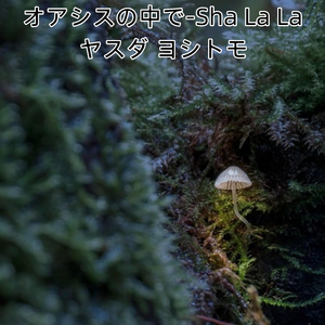 オアシスの中で-Sha La La