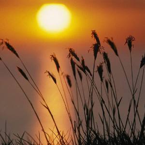 想你的时候（Electronic)