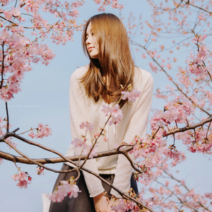 잔잔한 노래 (Waltz Ver.)