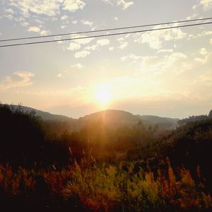 Let You Know (Prod.by Puppet)