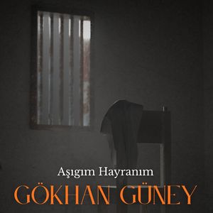 Aşığım Hayranım