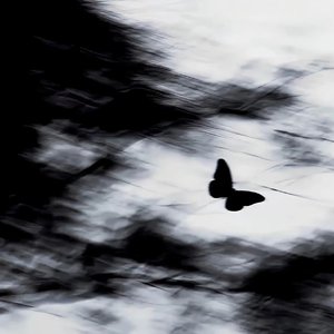 我要的飞翔.wav