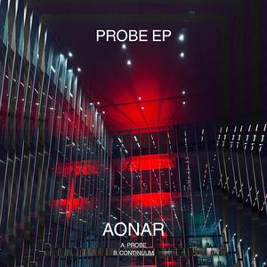 Probe