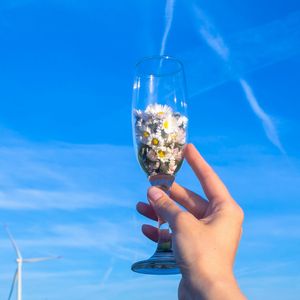 大爱仙尊v4（新版本v1：谁）