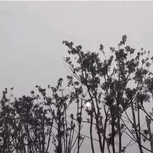 [ Free ] " moonlight " - prod by e.pine