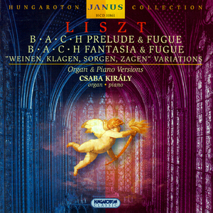 Variations on Bach's Weinen, Klagen, Sorgen, Zagen, S. 673/R. 382