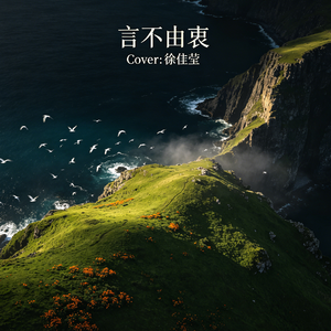 言不由衷-男生版