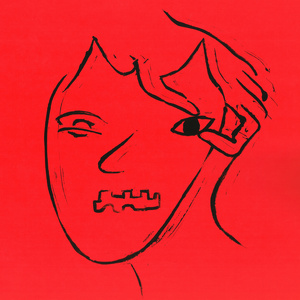 Vai Estragar a Câmera