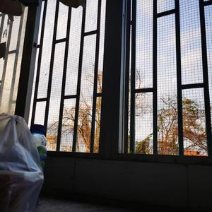 桃花岸—MC如来