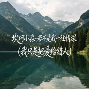 若不是我一往情深(我只是把爱给错人)