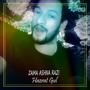 Zama Ashna Razi