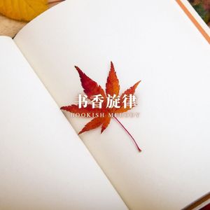 笔墨轻舞 (学习刷题专用)