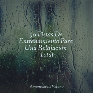 Luciérnagas Resplandecientes Bailan Sobre