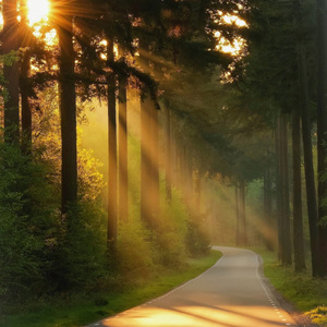 片头曲（钢琴）