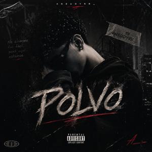 Polvo