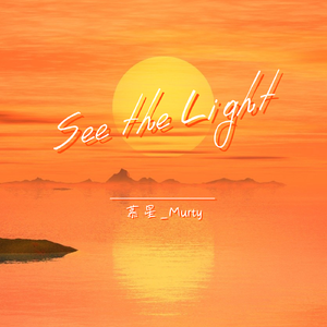 See the Light